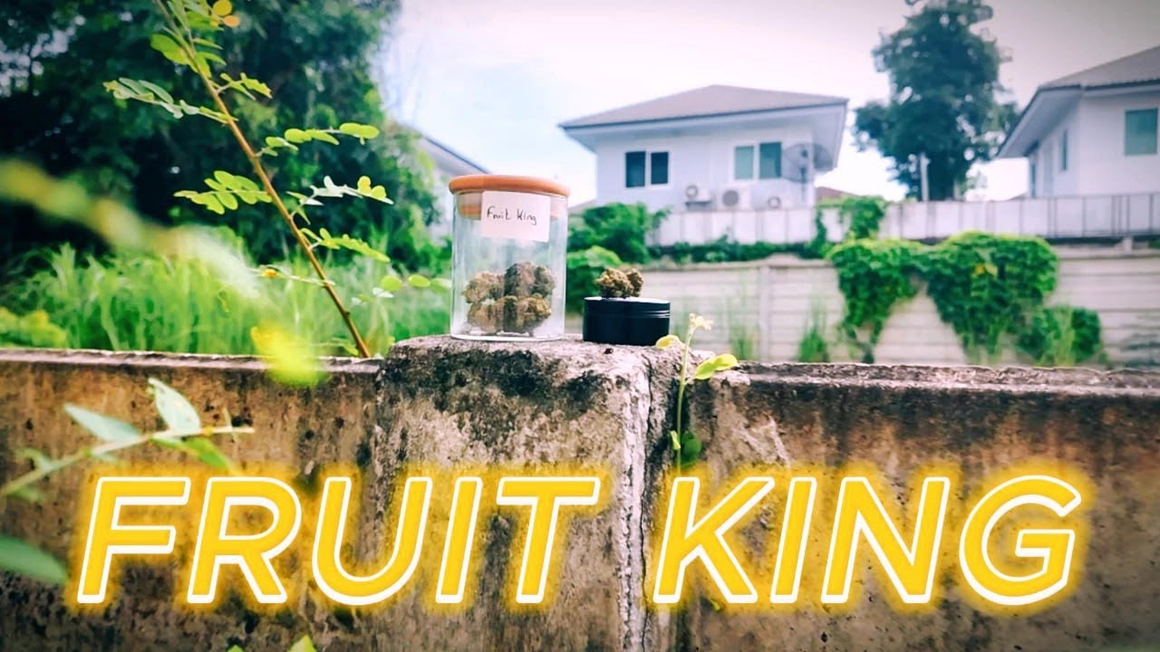 FRUIT KING 👑 (Shuffle Strain Review)