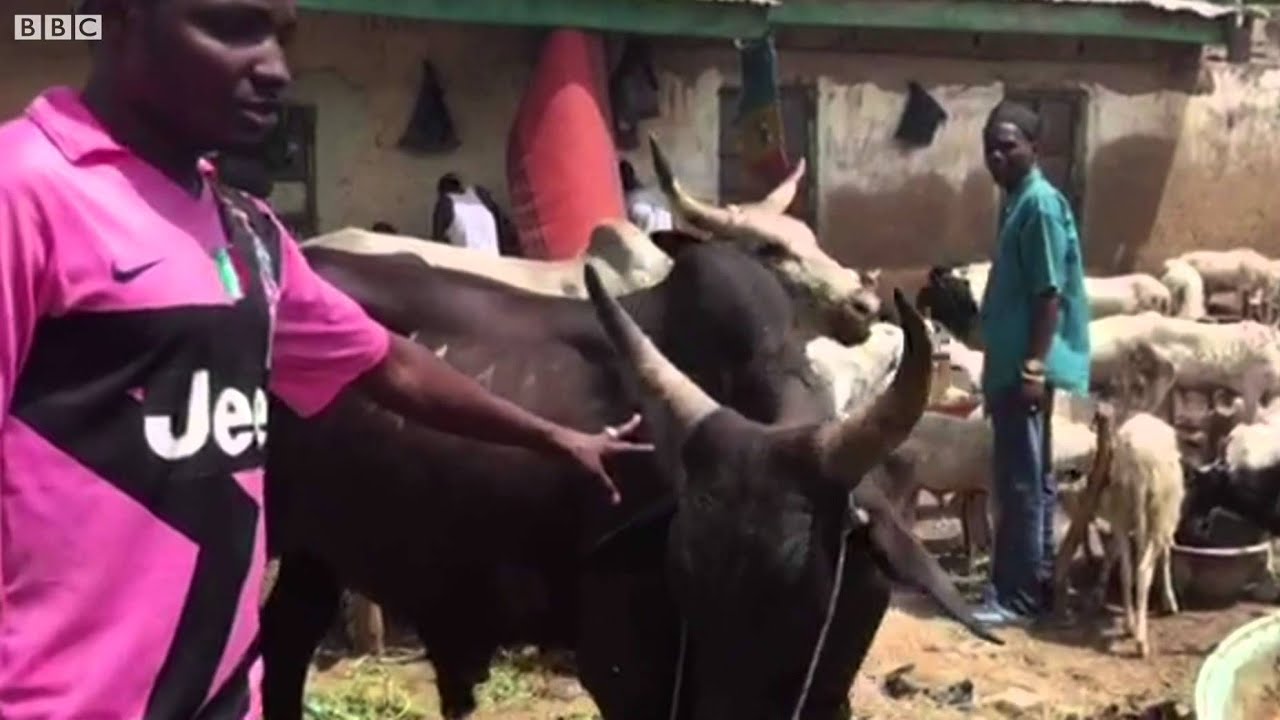 Kasuwar raguna ta yi kasa a Nigeria