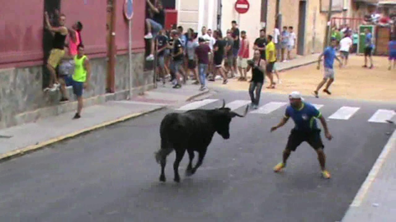 Bous Alfafar 2017 (Resumen)