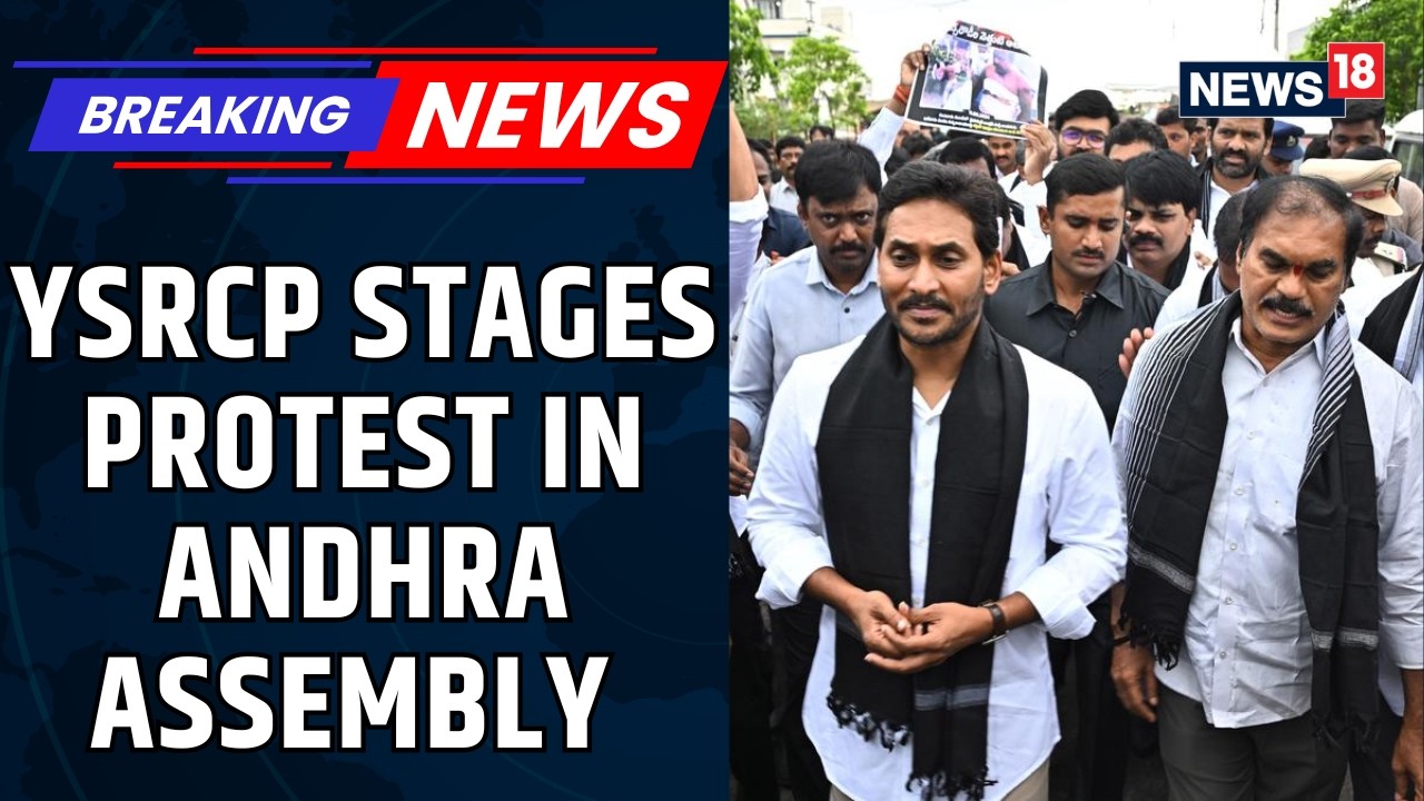 YSRCP Carry Placards, Raise Slogans Demanding Their Party Be Given Opposition Status | News18