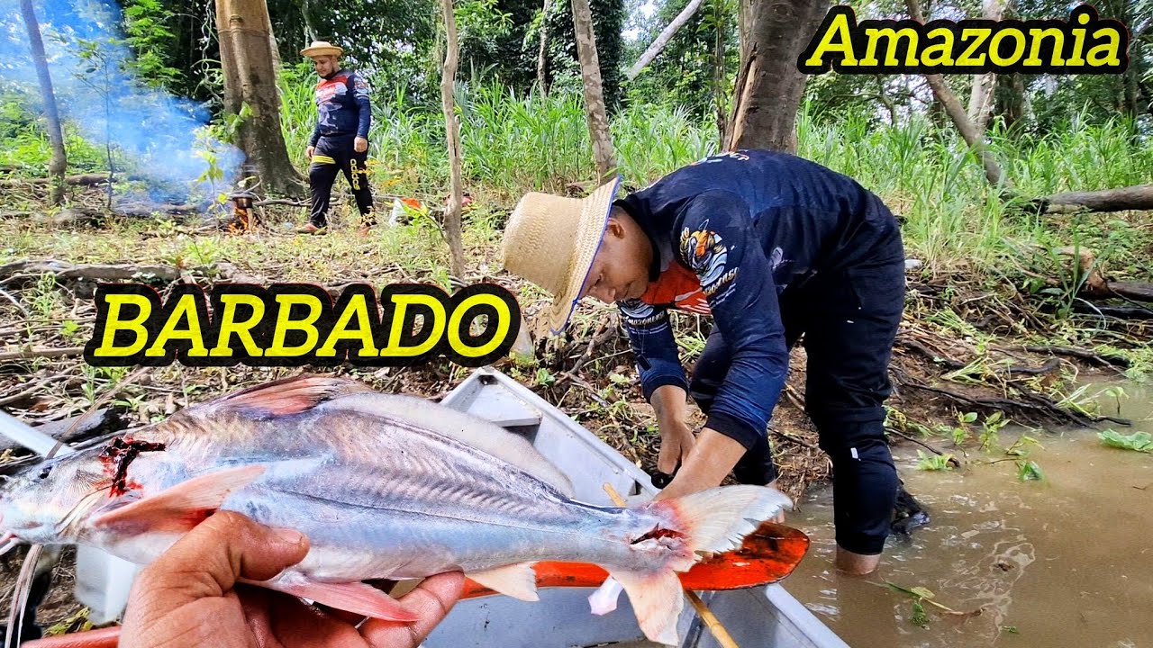 Inacreditável!!! Pescaria ribeirinha de linha de mão no rio Solimões Amazonas..
