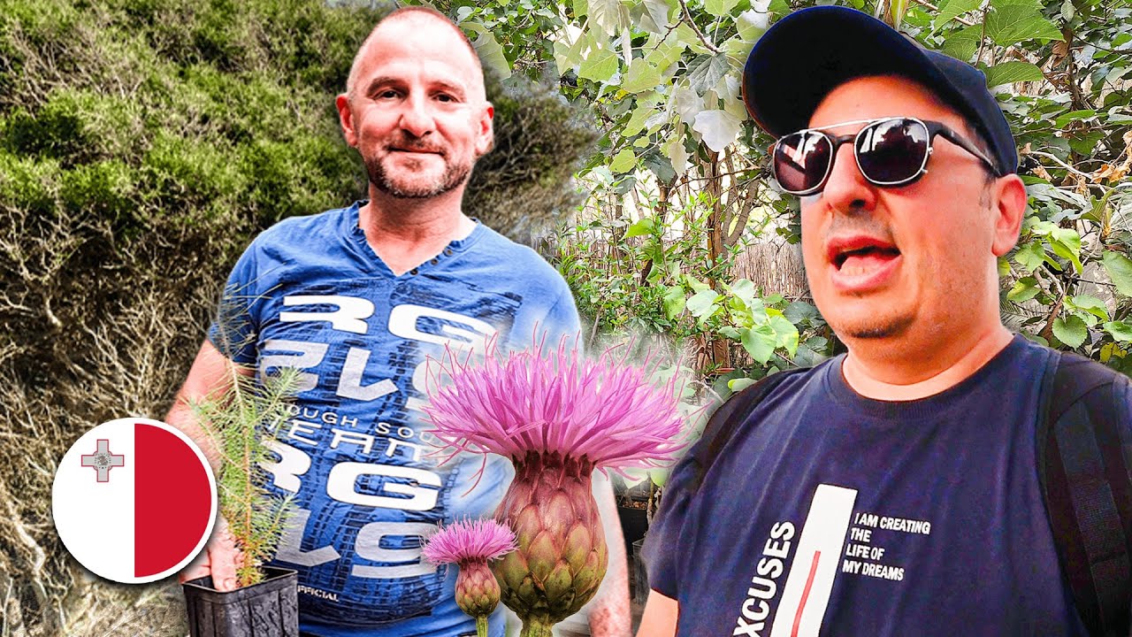 This Man Grows Rare Indigenous Maltese Plants 🇲🇹