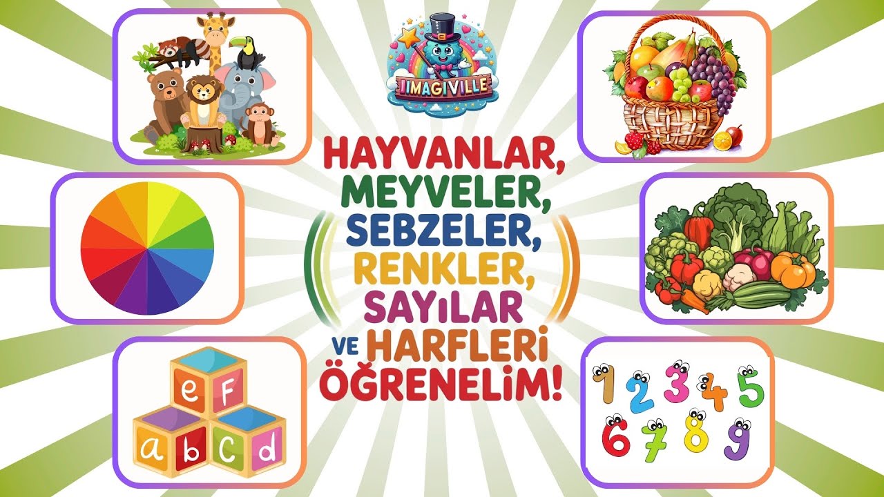 Hayvanlar, Meyveler, Sebzeler, Renkler, Sayılar ve Harfler | Hepsi Bir Arada Öğreniyoruz!