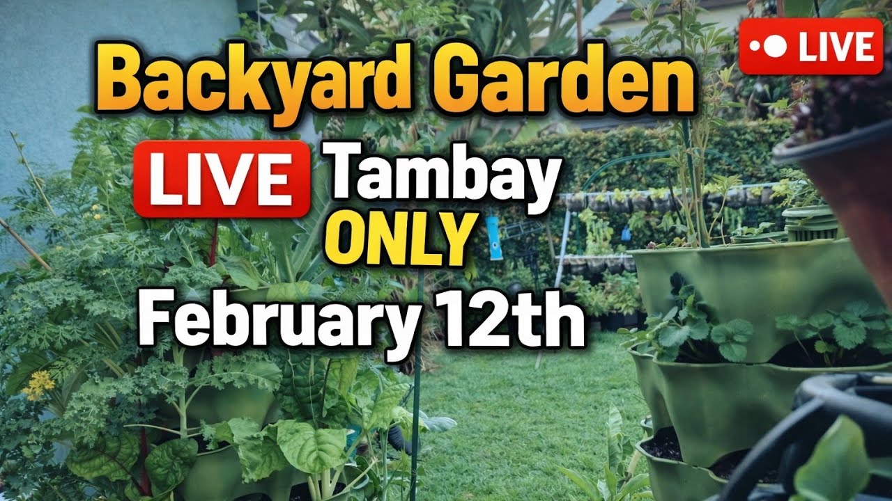 Backyard Garden LIVE 🌱 Nature Sounds Only | February 12 Tambay