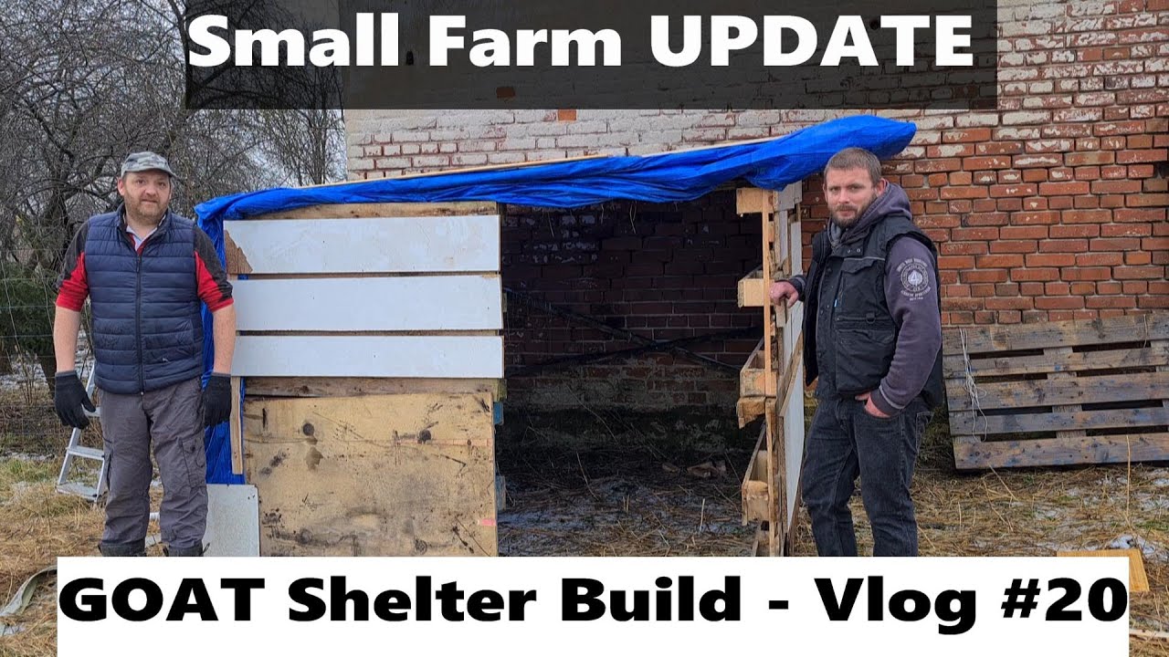 Small Farm homestead Update - Goat Shelter Pallet Build - Vlog 20