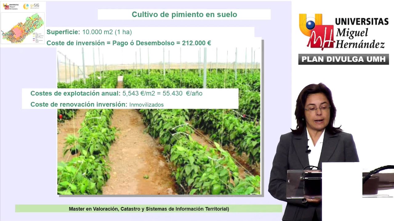 CASOS PRÁCTICOS DE ANÁLISIS DE INVERSIONES Y PROYECTOS EN EL MEDIO RURAL Y NATURAL