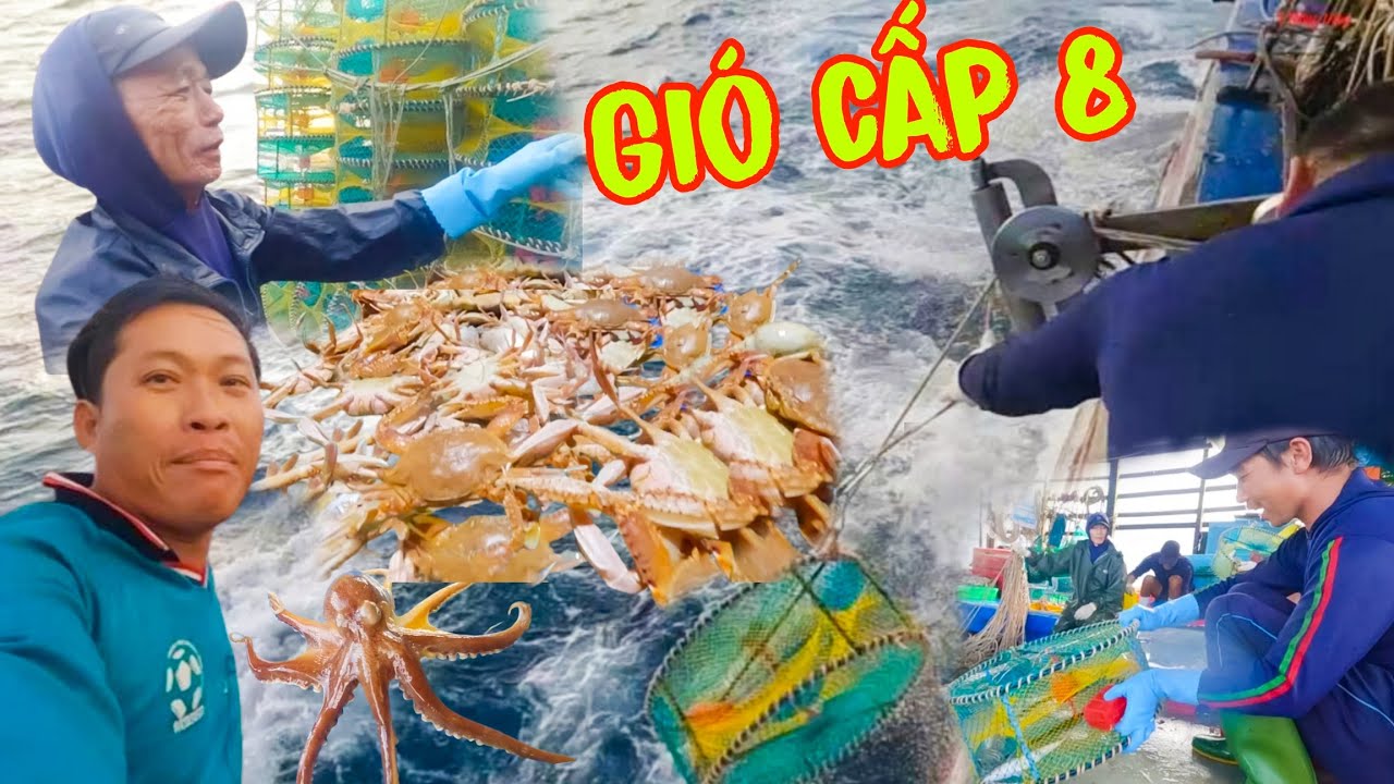 RẬP GHẸ 7_Kinh Hoàng Ập Đến_Gió Cấp 8 Nổi Lên, Ngư Dân 1 Phen Lao Đao