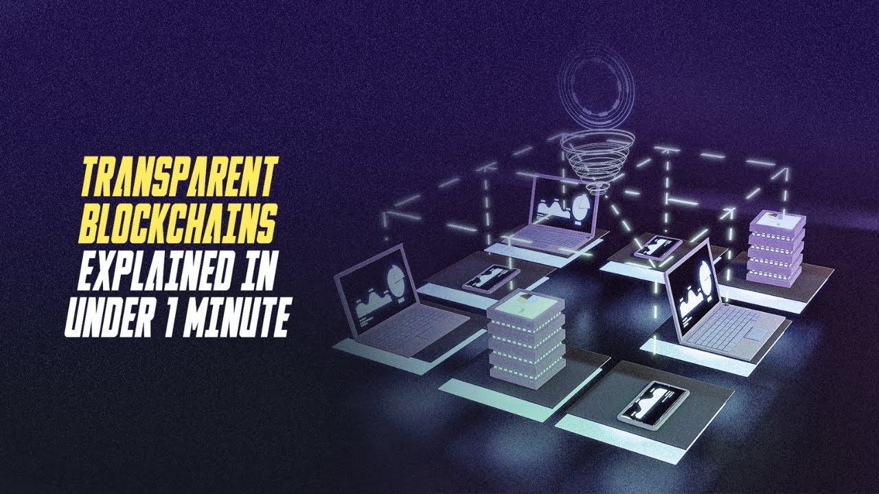 🔍Transparent Blockchains: EXPLAINED in under 1 minute!