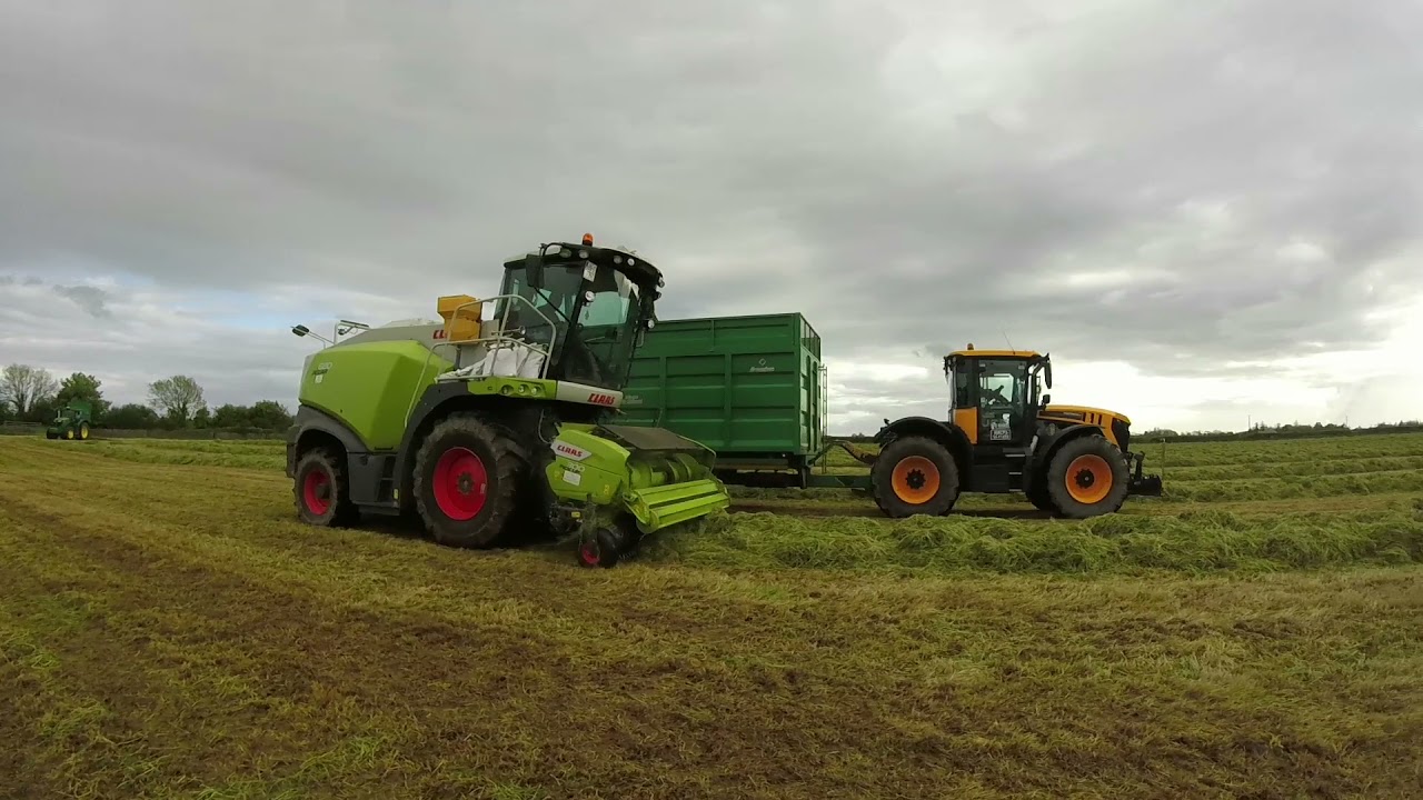 Class Jaguar 880 - First Cut Silage
