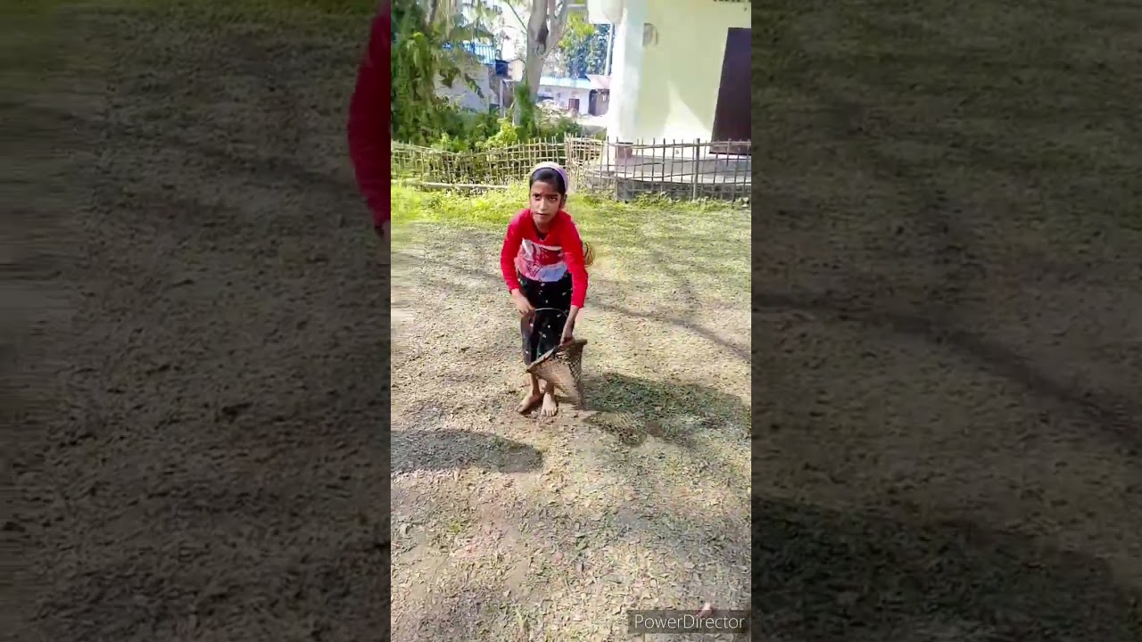 #jakoi #gitimoniborgohain #assamese #shortvideo #dance