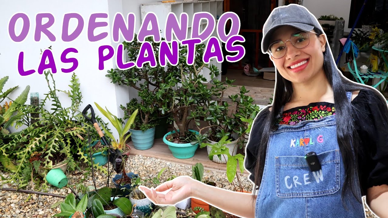 Organizando el mueble blanco de plantas y el frente de la casa │Candy Bu