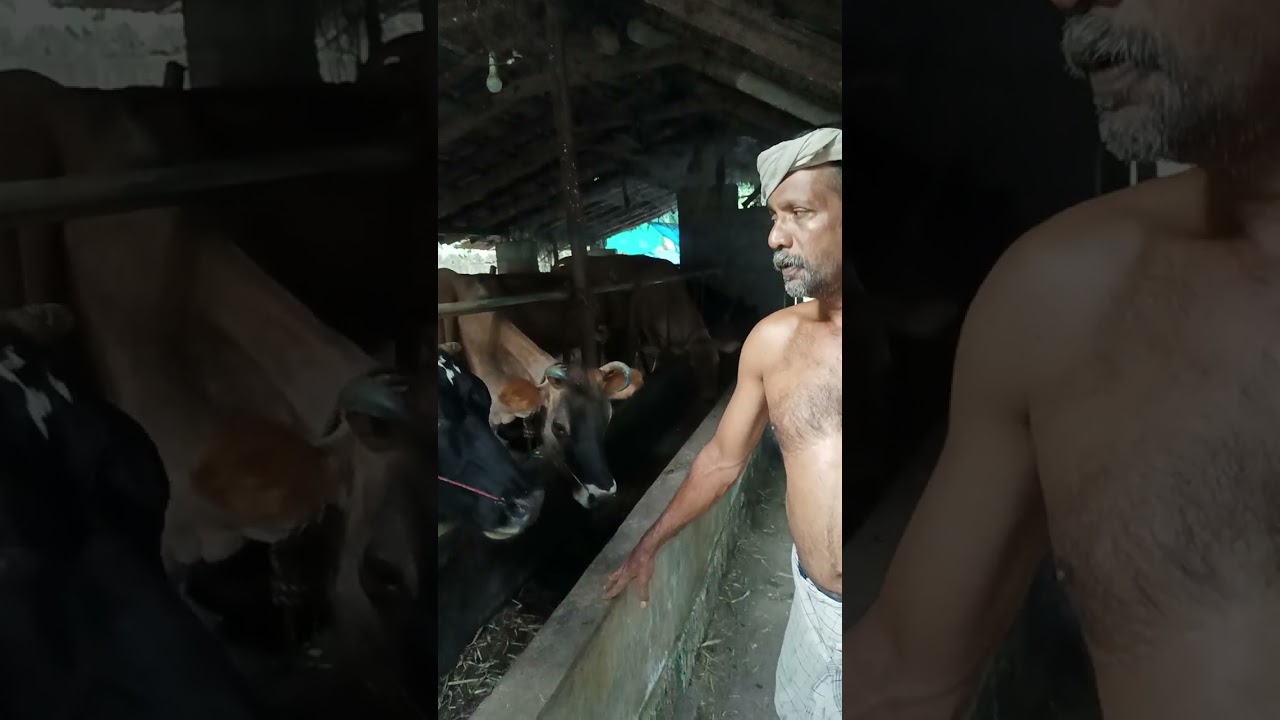 സക്കീർ ഫാം പൊന്നാനി മാറഞ്ചേരി