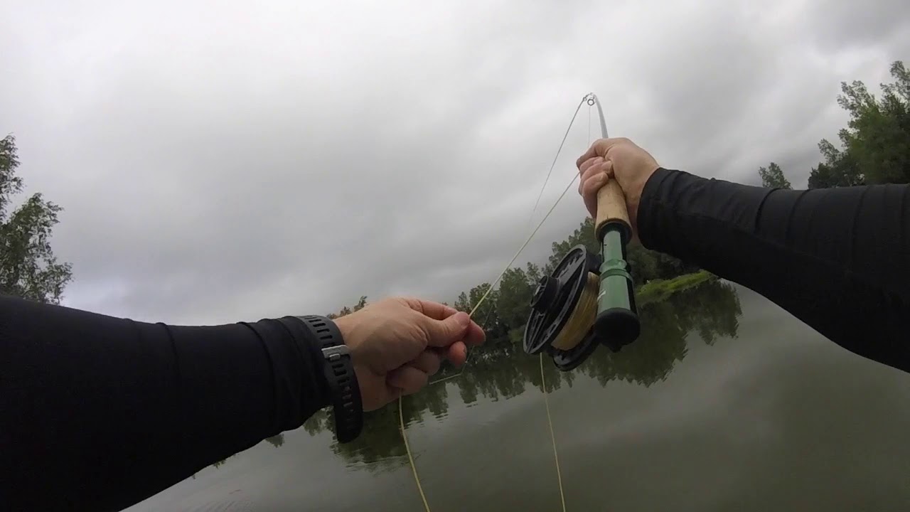 A couple of hours at Movilla