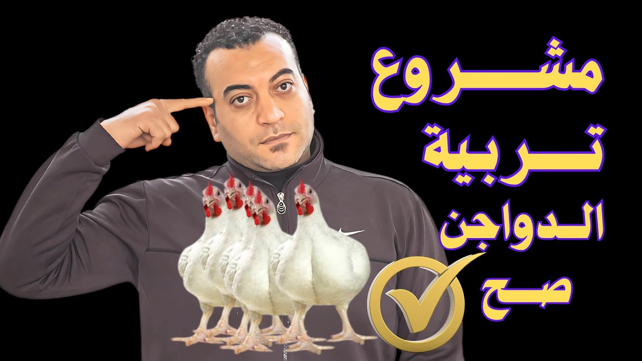 مشروع تربية الدواجن بأحسن طريقة | دراسة جدوى على ٢٠٠ كتكوت 👌