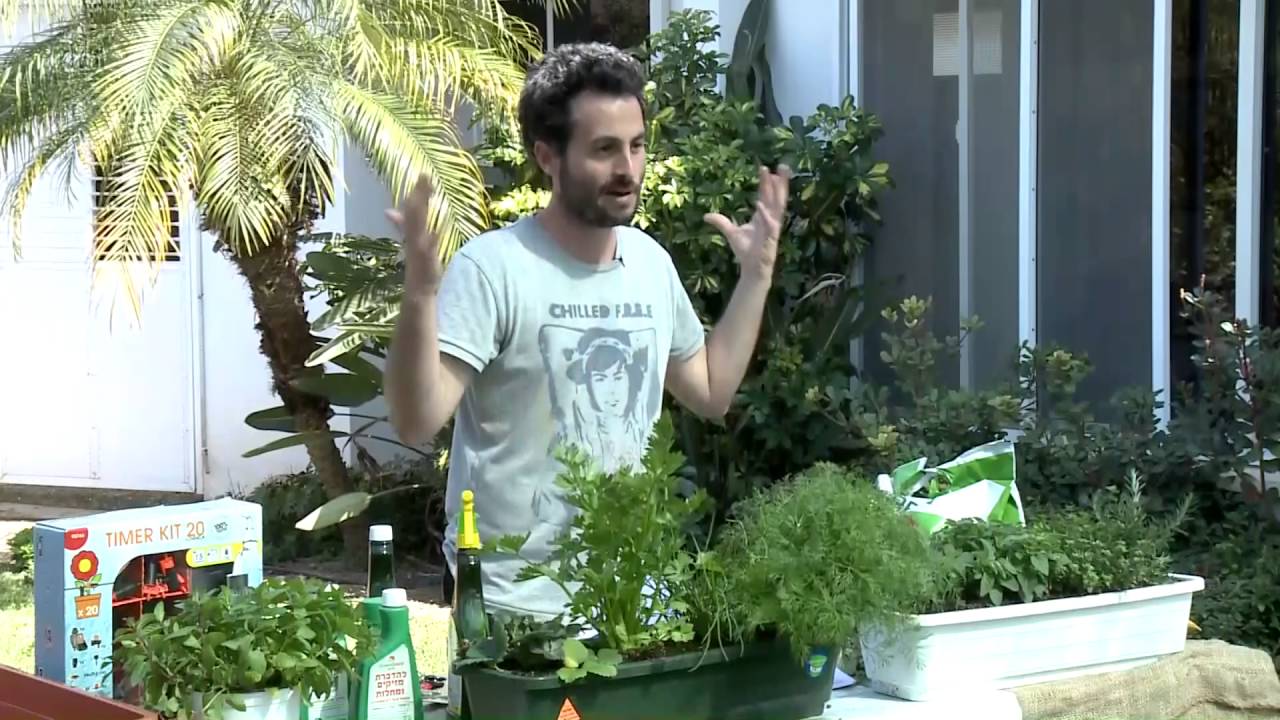 כיצד לשמר תבלינים