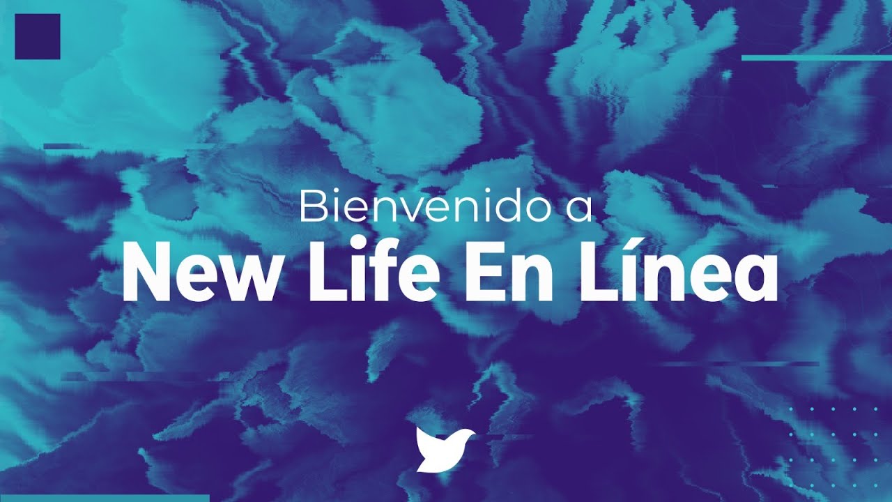 -New Life Amsterdam 