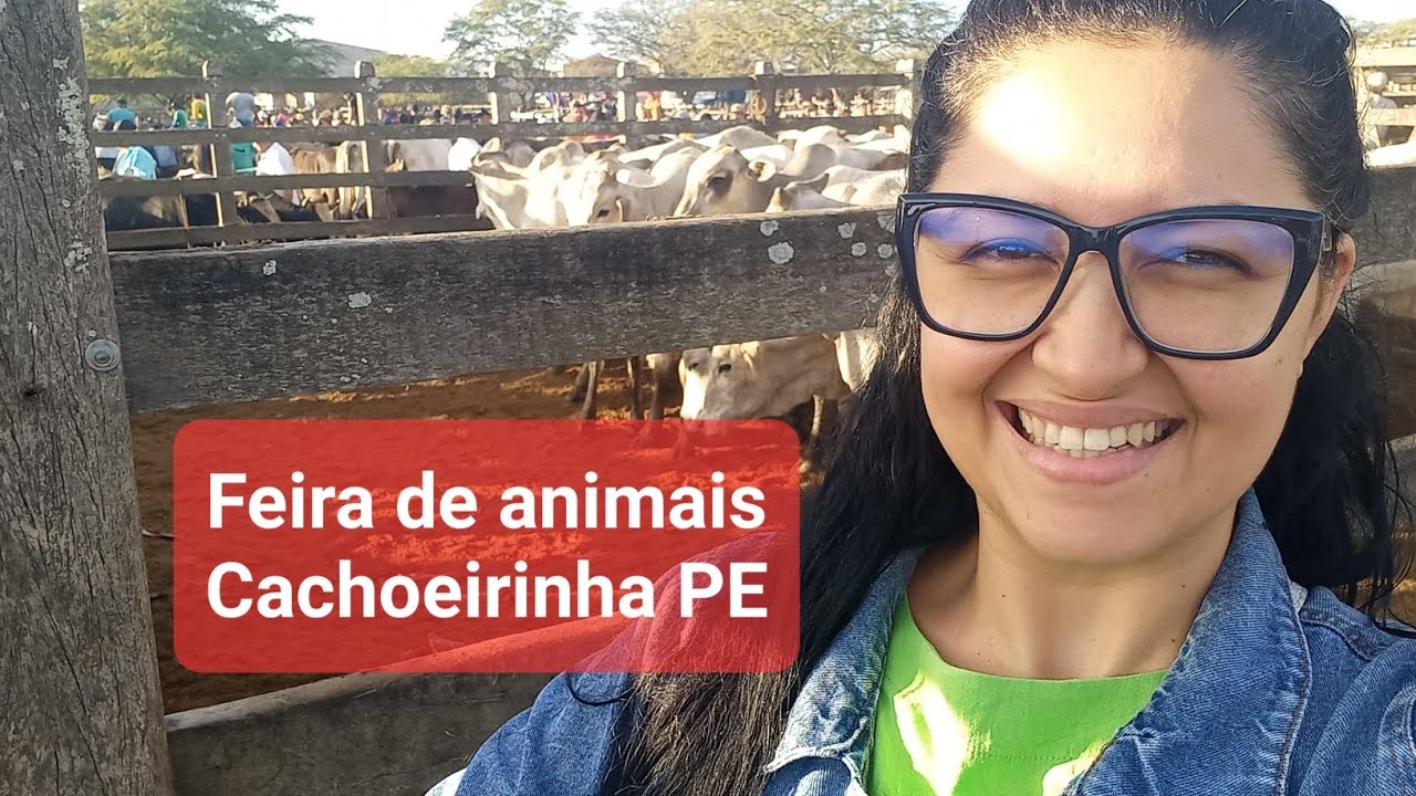 Feira de animais Cachoeirinha PE  #animais #cachoeirinha #agreste #Pernambuco 
