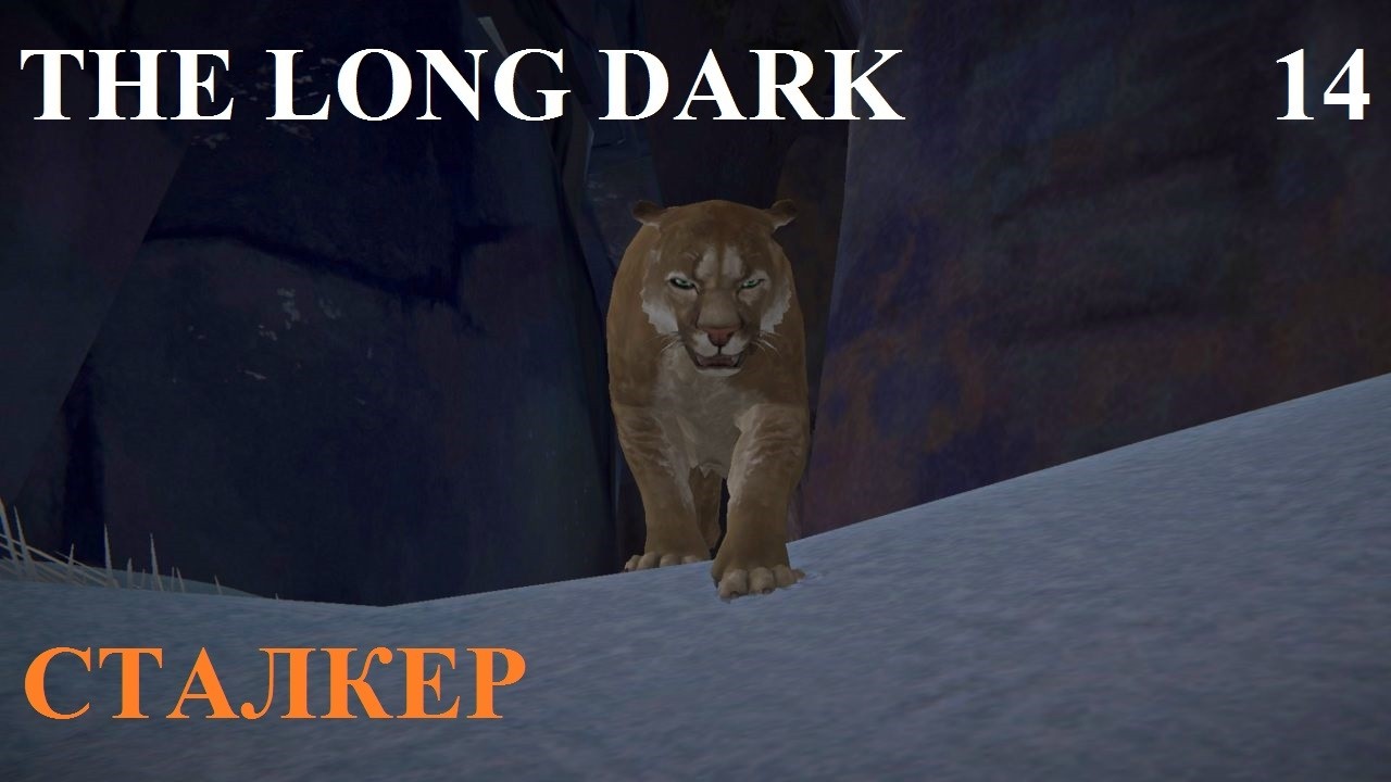СТАЛКЕР #14 THE LONG DARK. ПЕПЕЛЬНЫЙ КАНЬОН #2 НА 100%