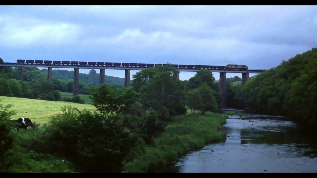 Drumley Bing Mossblown