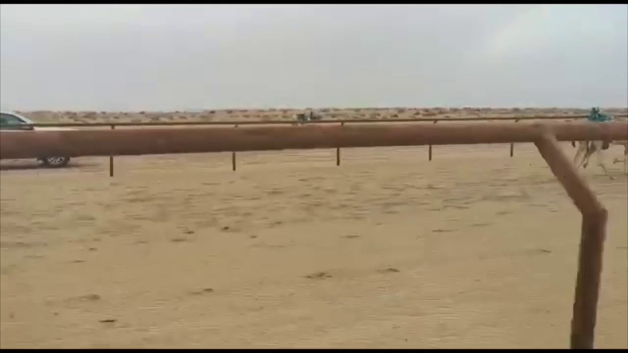 الجذاب : فالح فهد بن شويمي الهاجري   والنقطه الثالثه في رصيده🥇