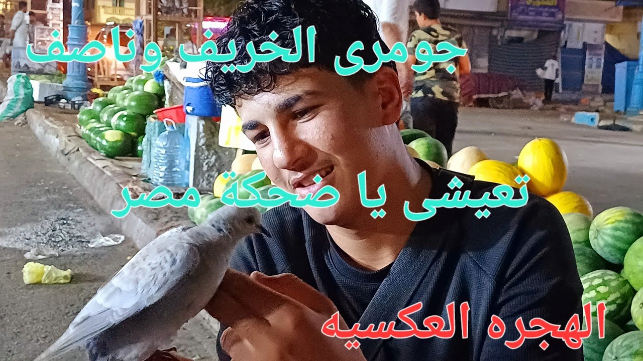 عوده الطيور المهاجره الى أحضان الوطن وتعيشى يا ضحكة#مصر  #اكسبلور#الجزائر اسواق#food مطروح#ليلا 