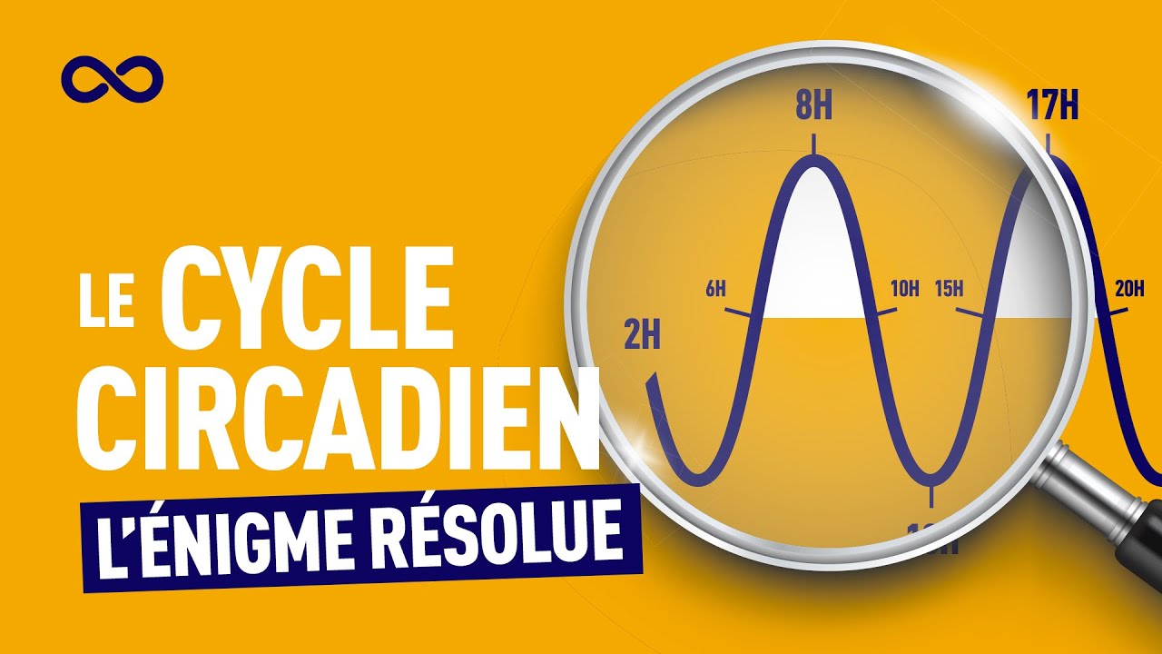 COMPRENDRE LE CYCLE CIRCADIEN (HORLOGE INTERNE)