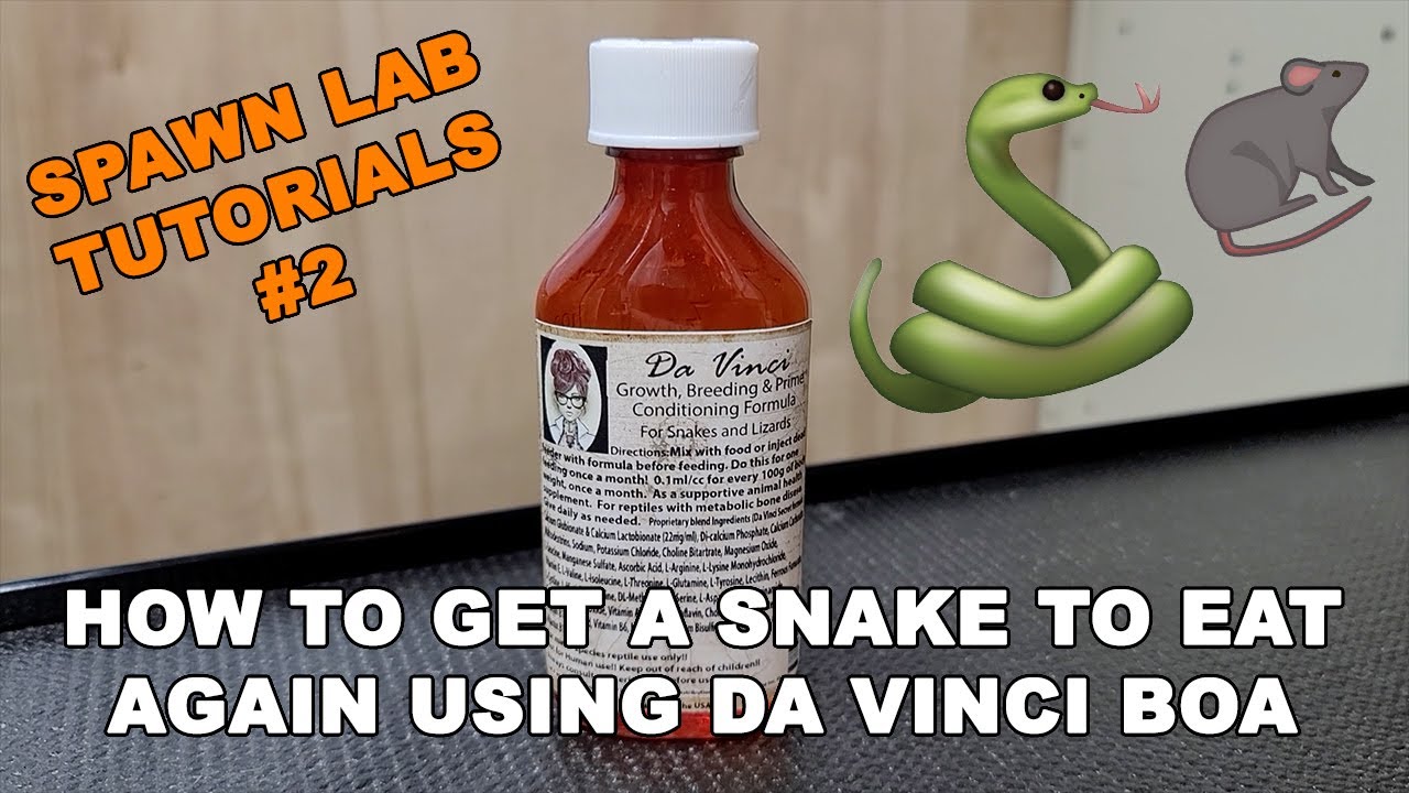 How to use and administer Da Vinci Boa