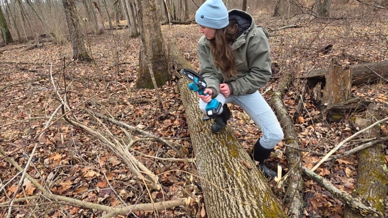 Мой список желаемых растений