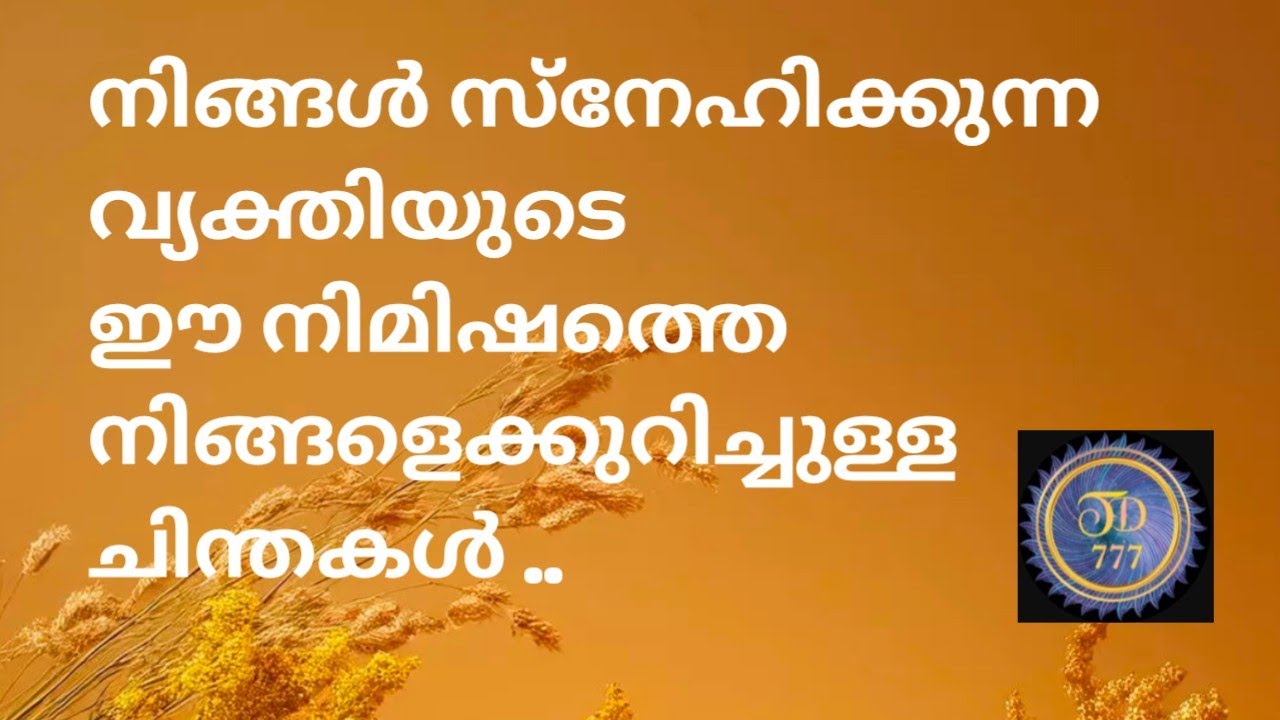 നിങ്ങൾ സ്നേഹിക്കുന്ന വ്യക്തി ഈ നിമിഷം നിങ്ങളെക്കുറിച്ച് ചിന്തിക്കുന്നത്..@tarotdexterity777