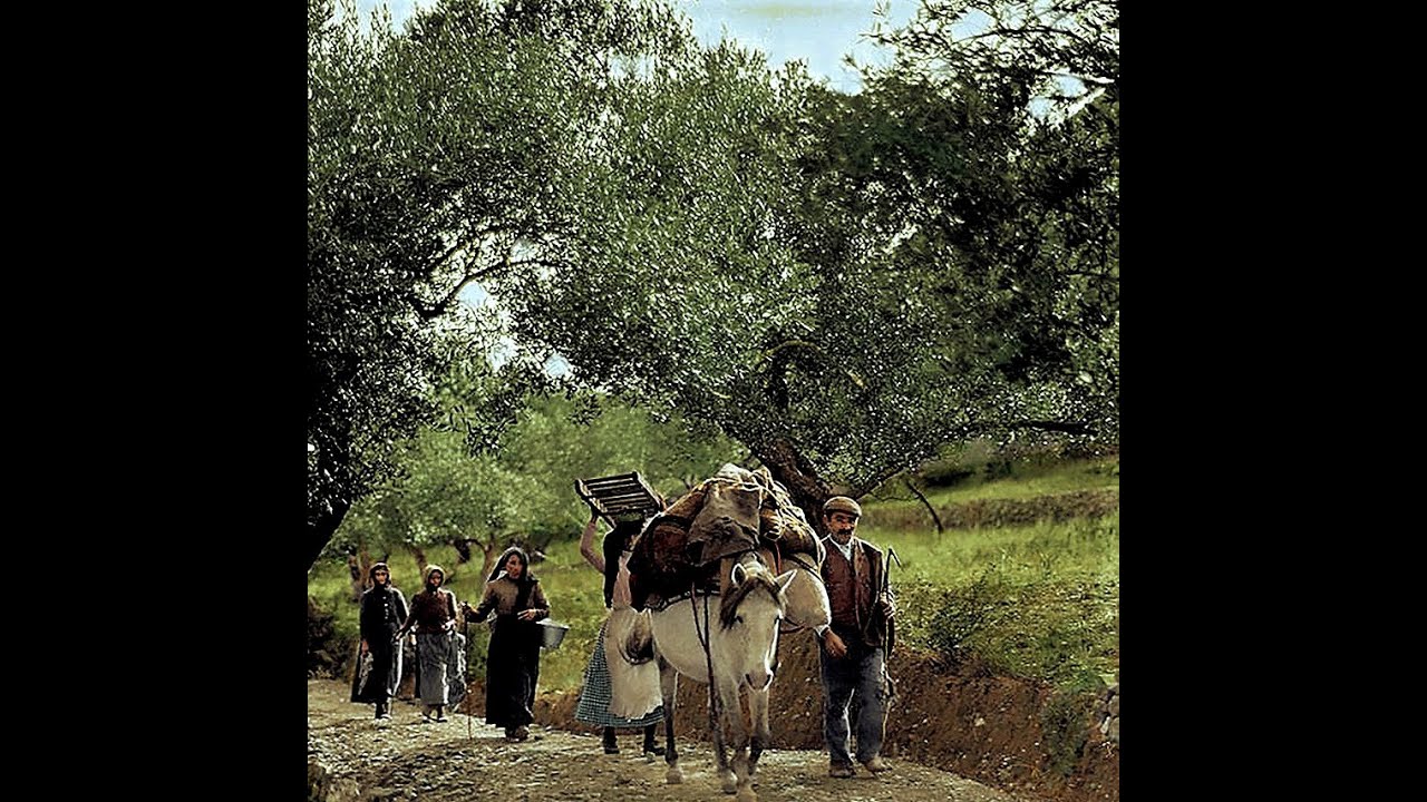 Zagori (Aristi)  ...   N  Greece