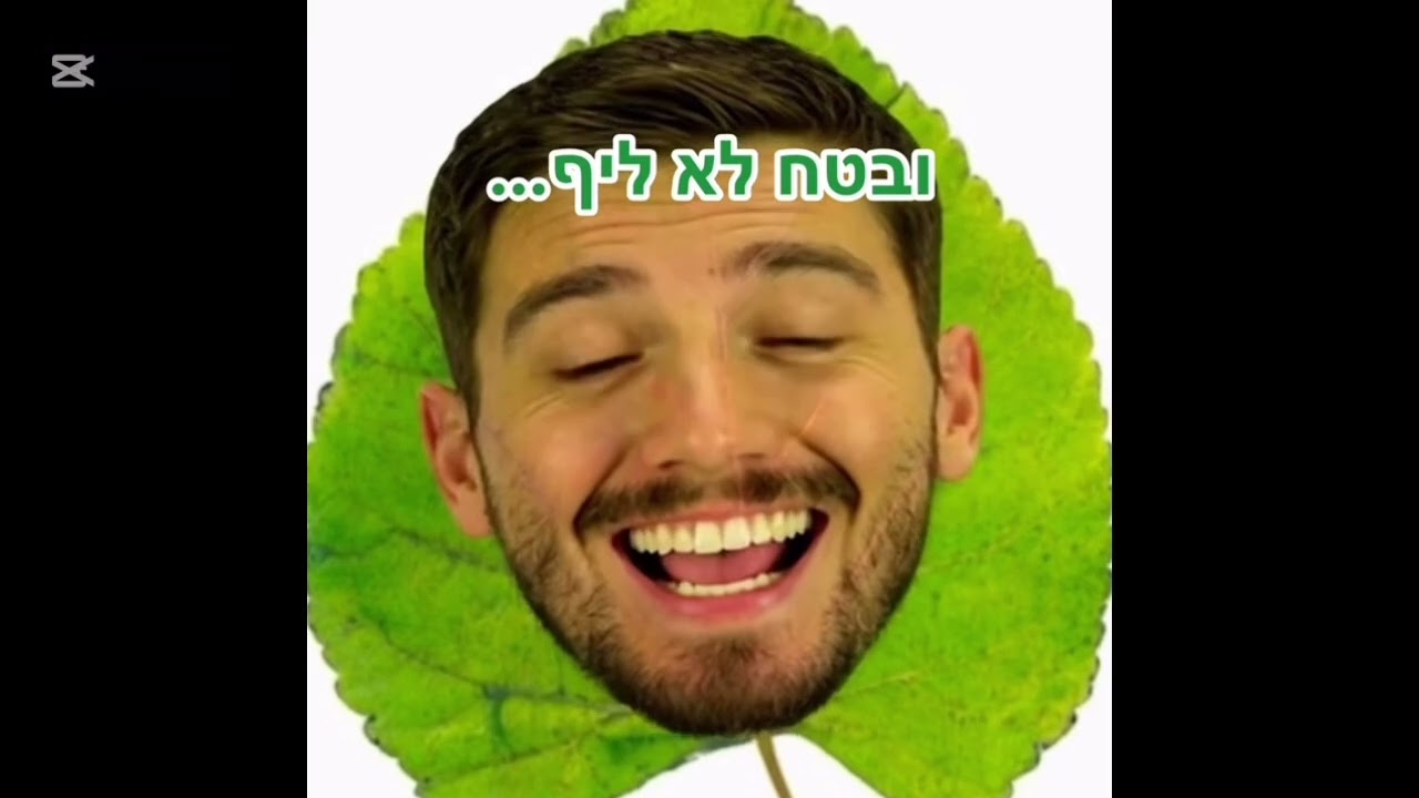 רק גור לביא