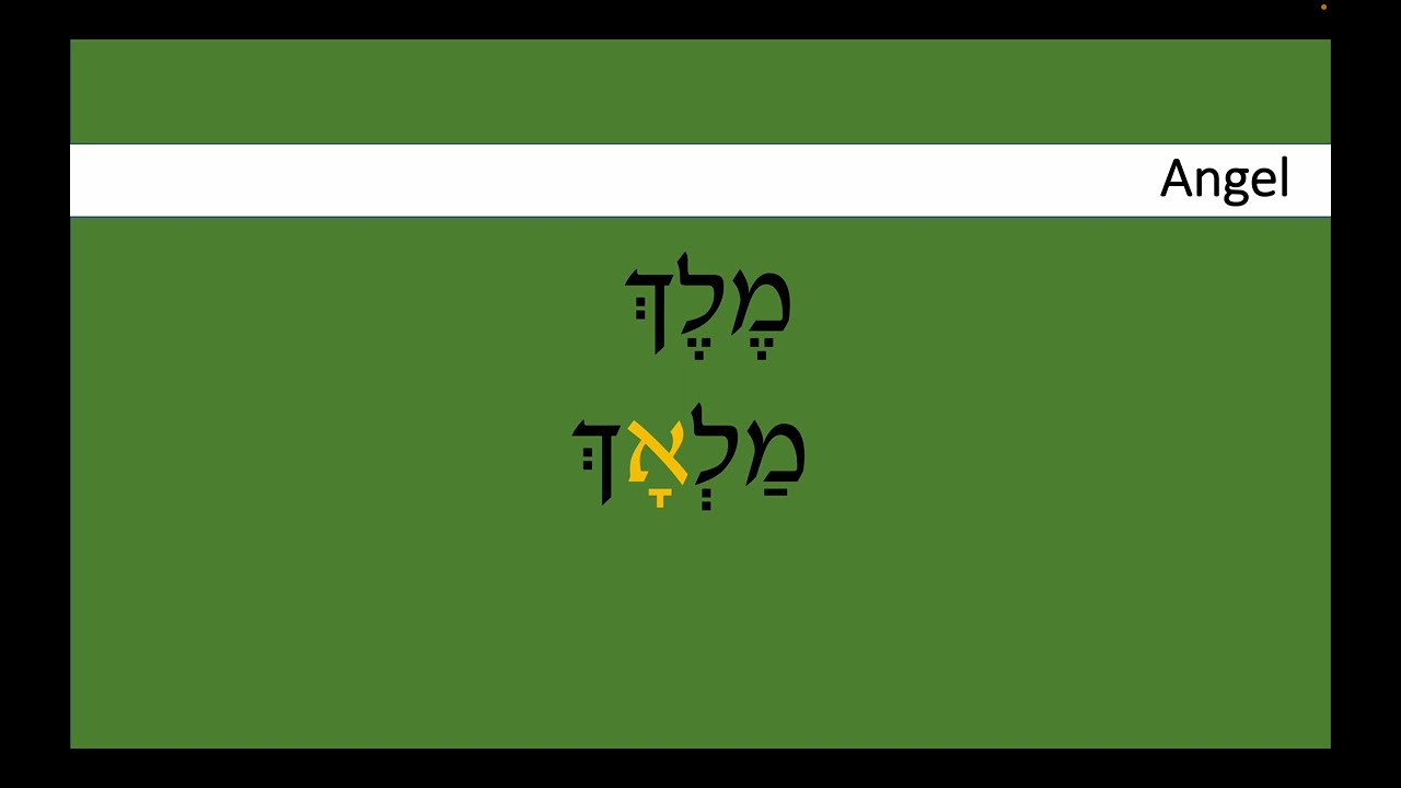 Prayerbook Hebrew 12  - Vocabulary Words