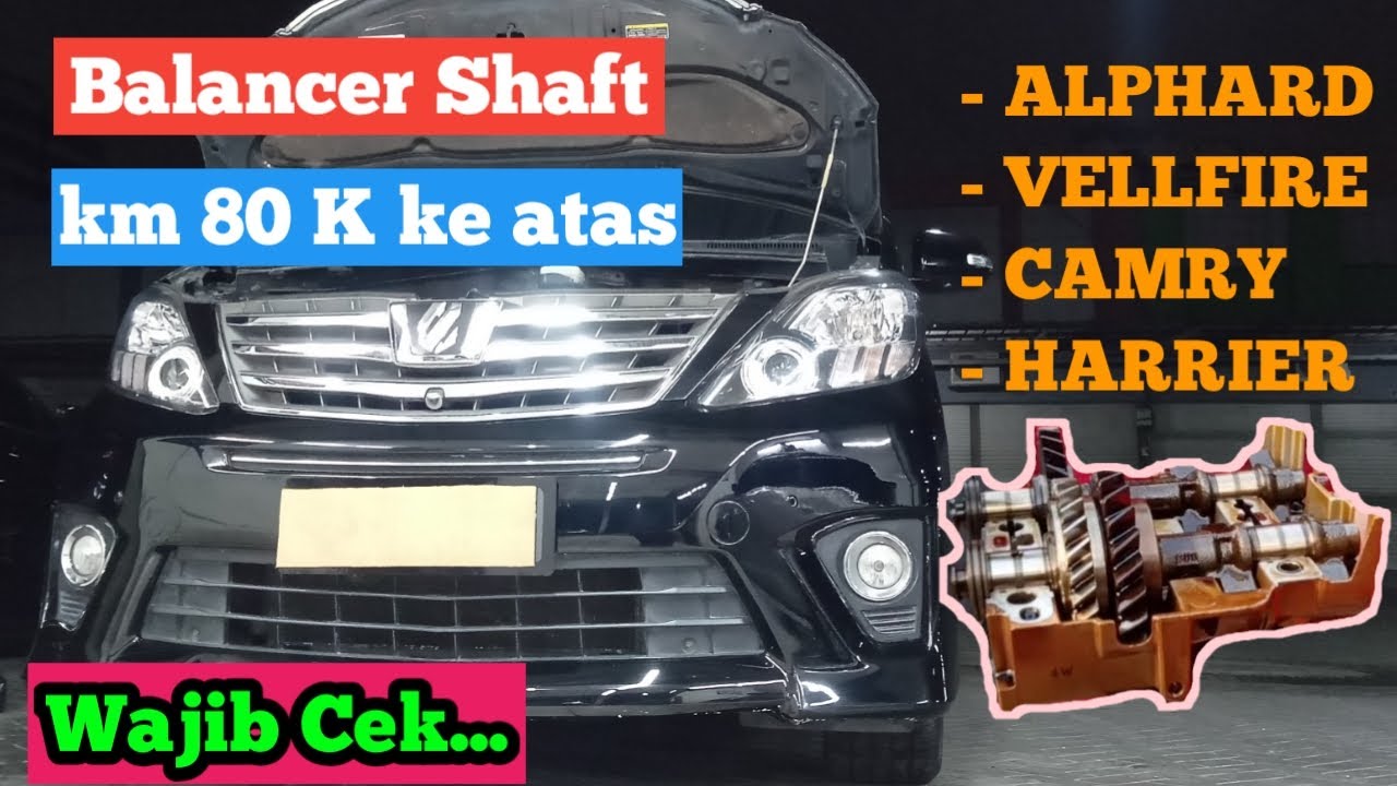Penyakit Alphard lama, Balancer Shaft Oblak || Jadi, Harus di ganti...