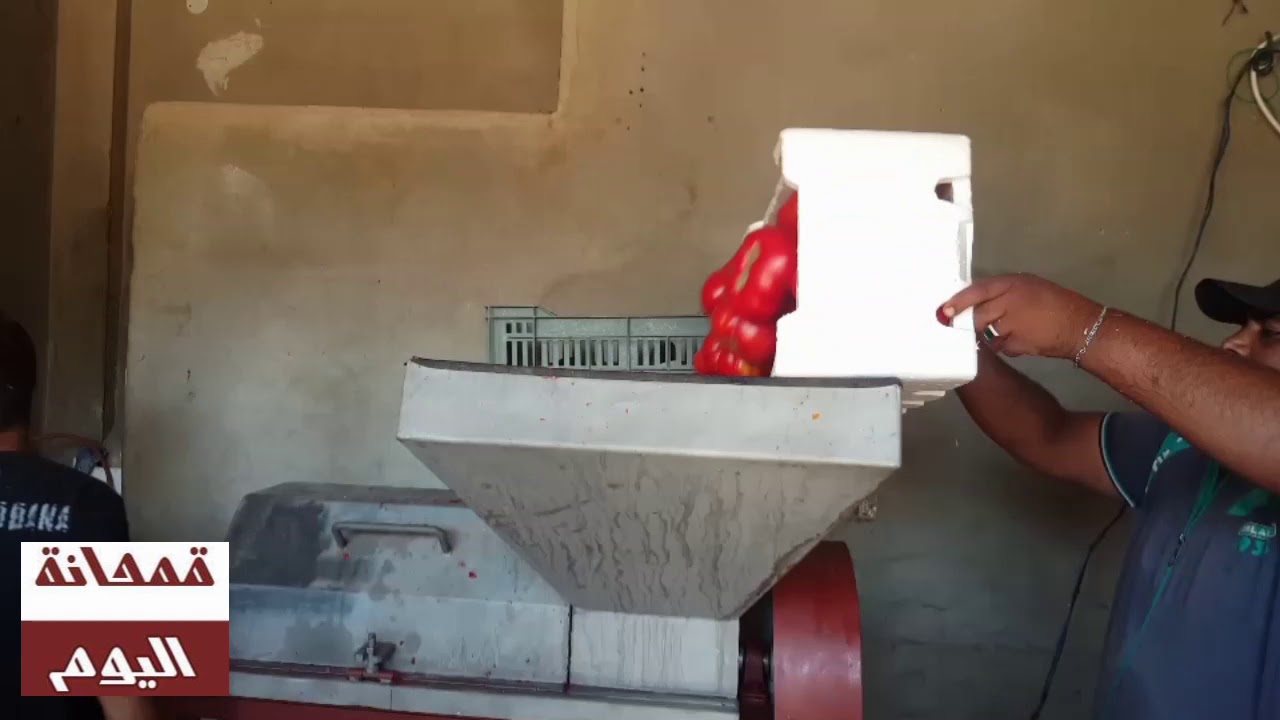 موسم عصر البندورة - رب البندورة - بلدة قمحانة بريف حماة الشمالي
