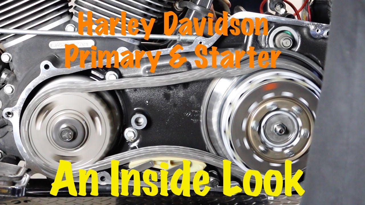 Inside Look at Harley Primary & Starter Operation | Solenoid, Starter Clutch, Starter Ring Gear