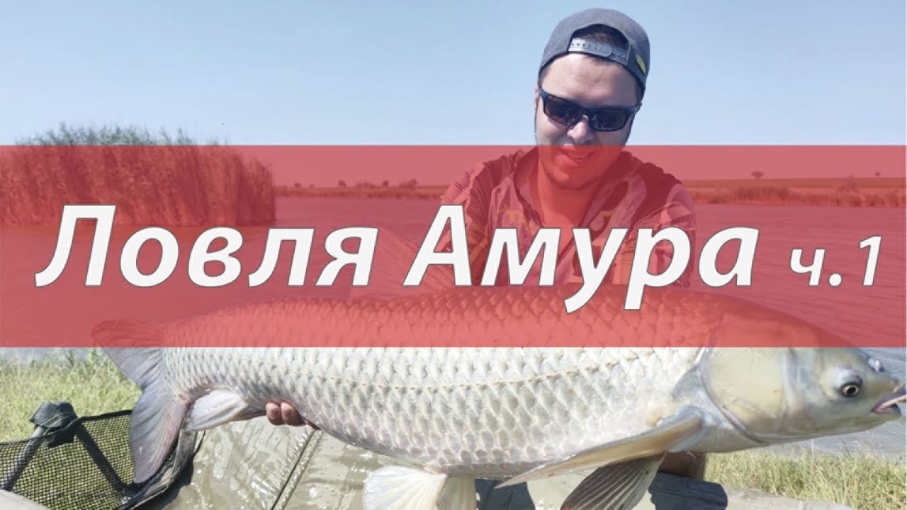 Рыбалка в Одесской области, ловля дикого амура на реке Ташлык