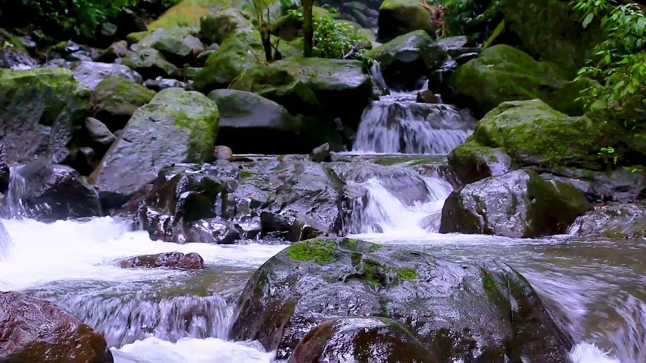 Sleep Better with Mountain River | Relaxing Nature Water Sounds for Calm Nights