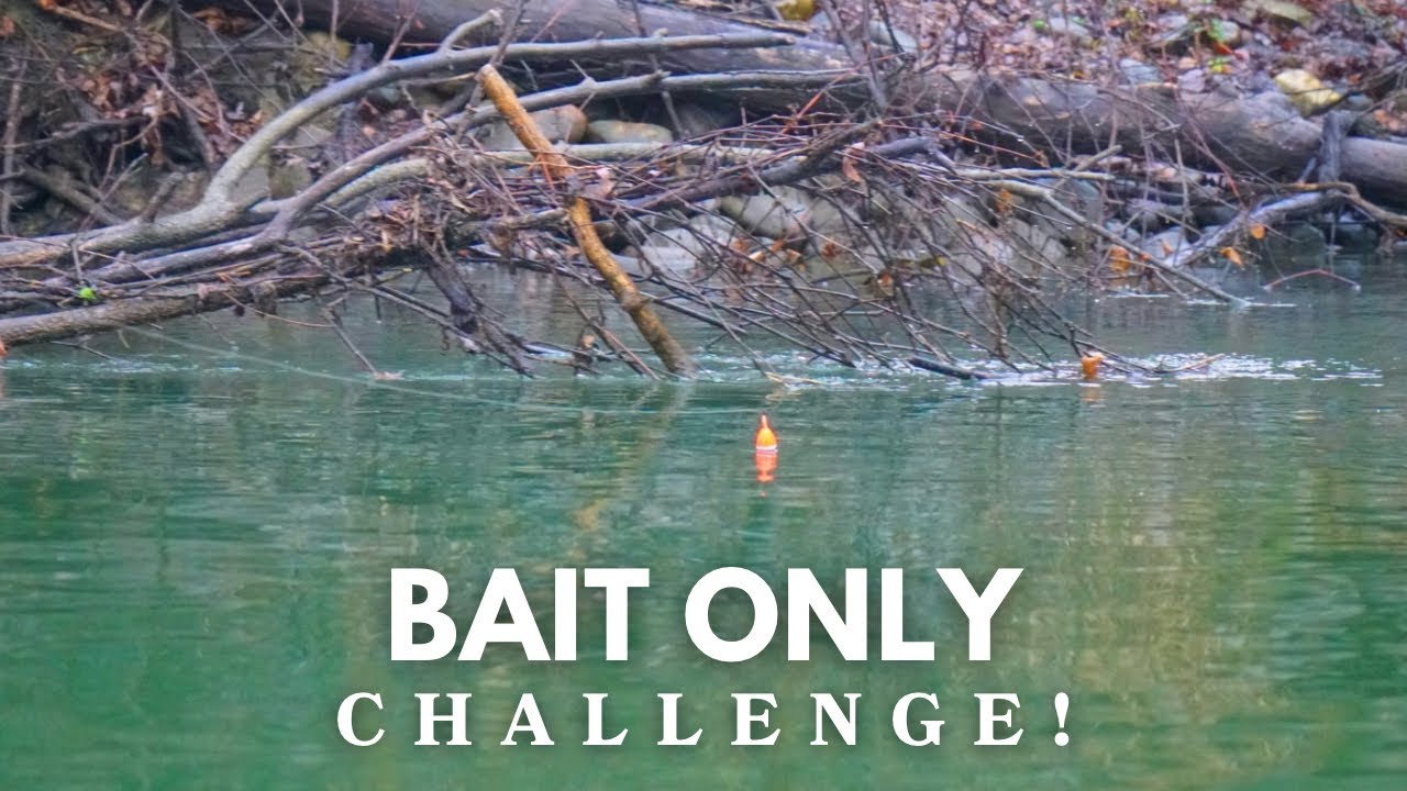 WINTER STEELHEAD BOBBER DOWN CHALLENGE - (Bait Only!)