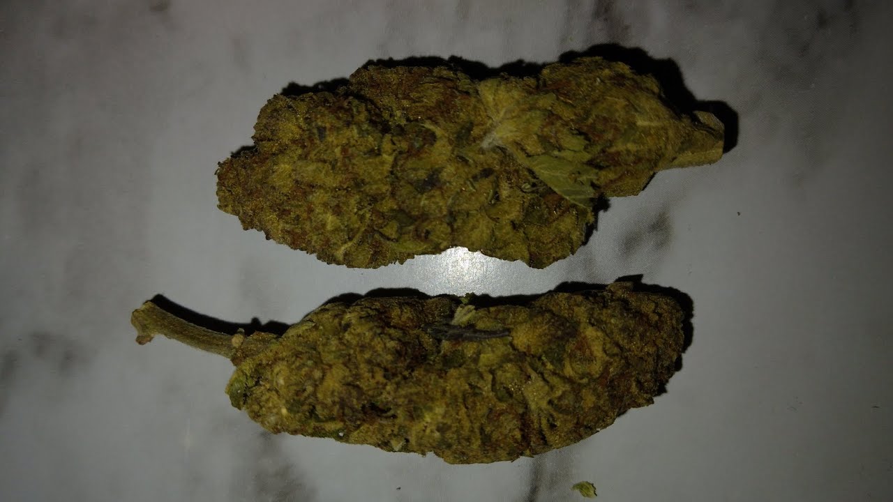 Blue Zushi Strain-Review-😨😨💨