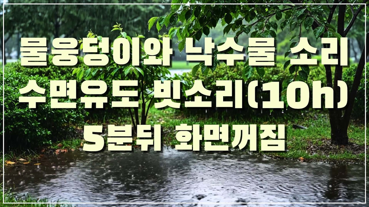 비 내리는 정원 물웅덩이와 낙수물 소리 수면유도 빗소리, 5분 뒤 화면꺼짐 (10h)