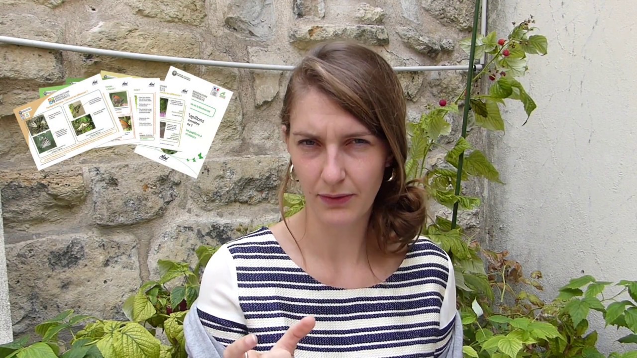 Observer les papillons avec le protocole de l'OAB (Biodiversité & agriculture 9/9)