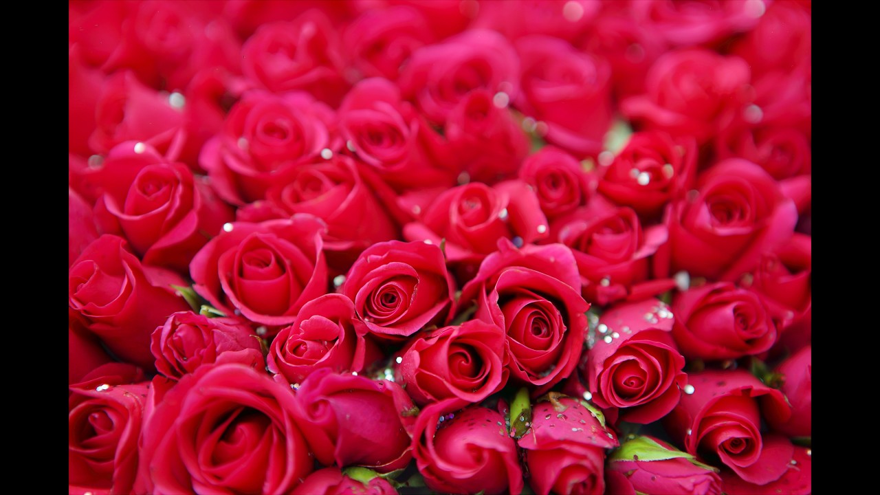 A life lived in love will never be dull....Hello Guys!