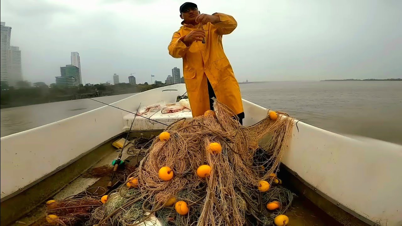 &iexcl;IMPRESIONANTE! Pescador atrapa GRANDES peces. 