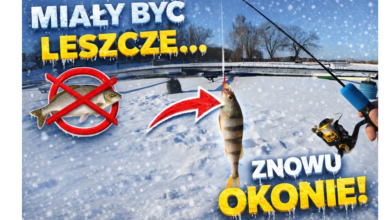 Łowiłem Okonie, a chciałem Leszcze  - Mormyszka W Akcji❄️ #icefishing #wędkarstwo