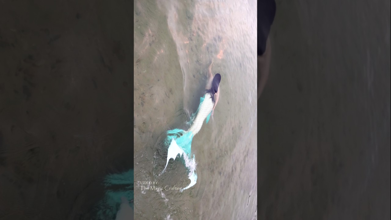 a mermaid's peaceful swim in Lake Leelanau