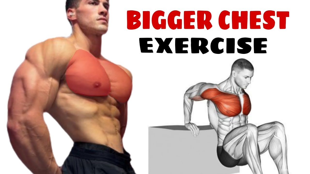 7 New Chest Workout At Gym 2024 best chest exercise at gym #workout #fitness #youtube