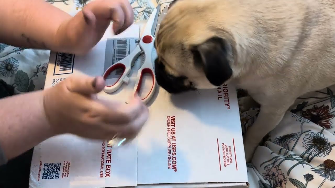 Нервничаю, открывая коробку Reborn на eBay! Полюблю ли я её?! #открытиеrebornbox