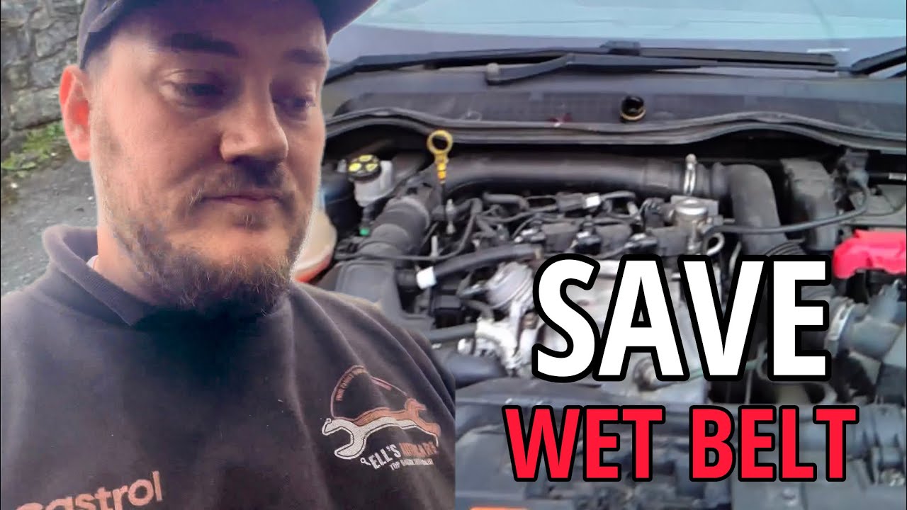 Do this to save £1000s on a Ford Fiesta wet belt 