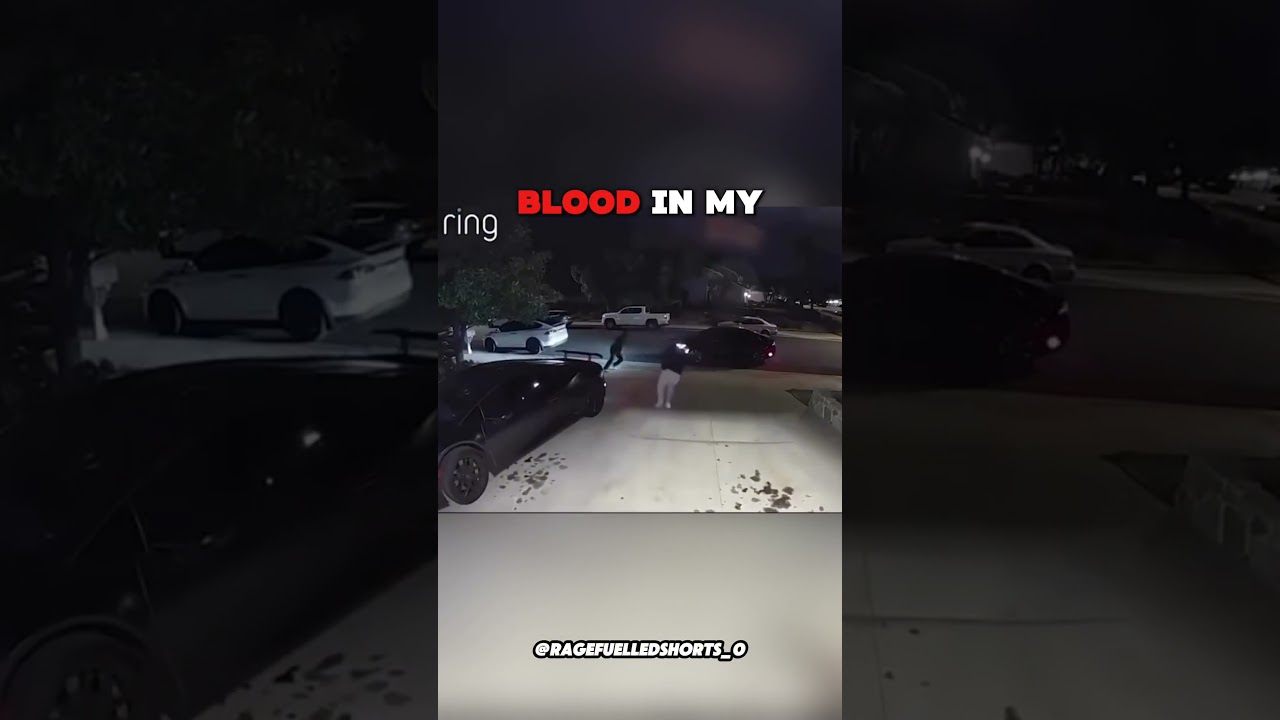 Lamborghini driver deals with thieves
