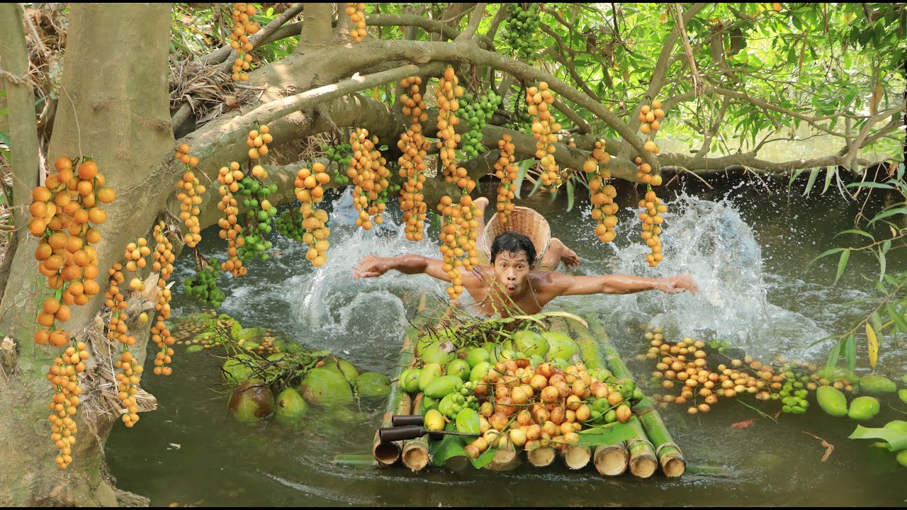 Rich Fruits In River Trail - bamboo rafting ride find fruits